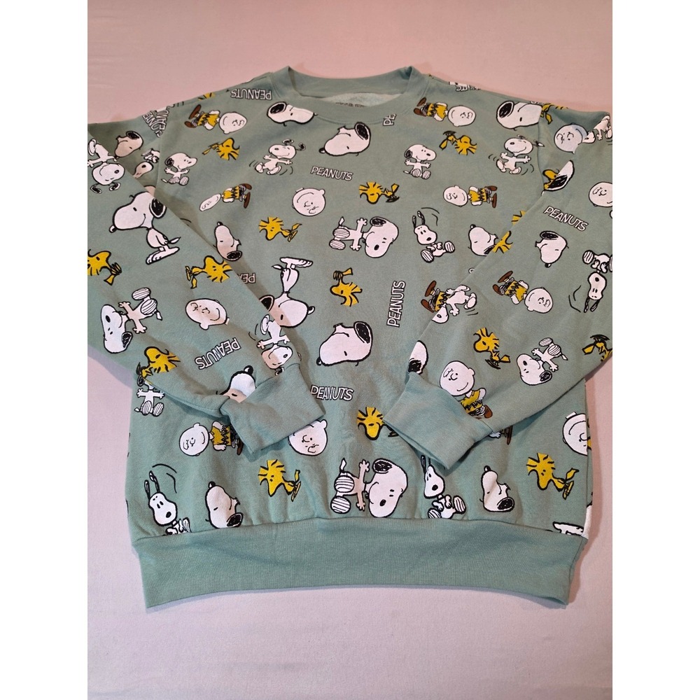 Peanuts Snoopy Charlie Brown All Over Print Sweatshirt Sage Green Medium 0953